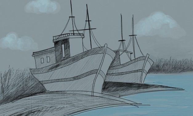 ಬರ್ಸಲೋರ್ ಬಾಬ್ರಾಯ: ಎಸ್.ವೆಂಕಟರಾಜ ಬರೆದ ಸಣ್ಣ ಕತೆ