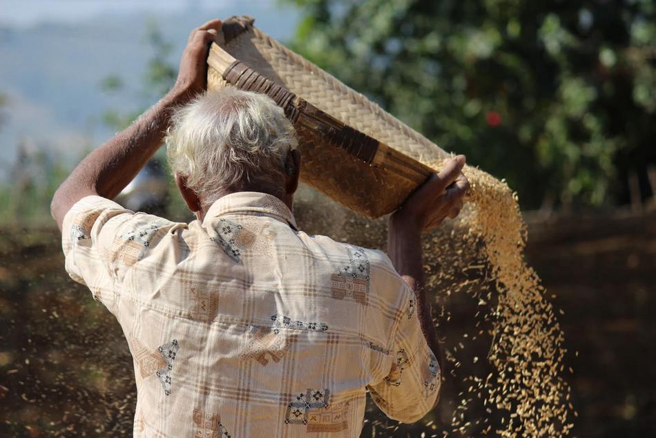 ಅರ್ಚನಾ ಖ್ಯಾಡಿ ತೆಗೆದ ಈ ದಿನದ ಚಿತ್ರ.