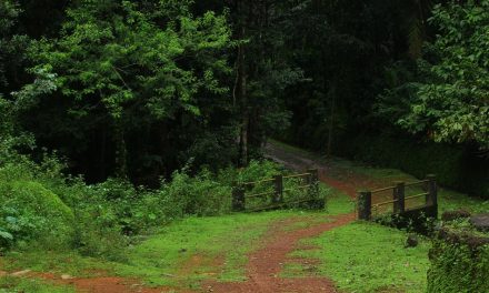 ಮಲೆಬೆಟ್ಟುವಿನಲ್ಲಿ ಮಳೆ ಬಿದ್ದ ಇರುಳು:ಪ್ರಸಾದ್ ಶೆಣೈ ಕಥಾನಕ