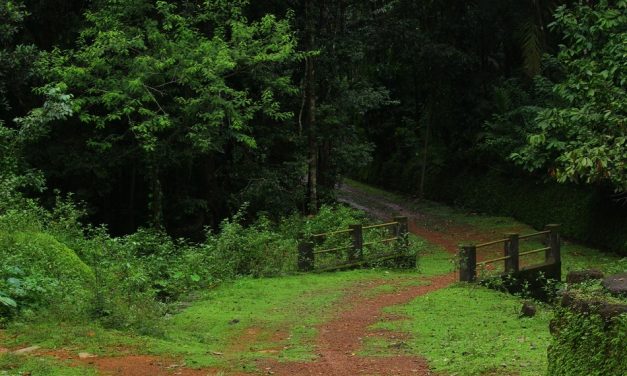 ಮಲೆಬೆಟ್ಟುವಿನಲ್ಲಿ ಮಳೆ ಬಿದ್ದ ಇರುಳು:ಪ್ರಸಾದ್ ಶೆಣೈ ಕಥಾನಕ