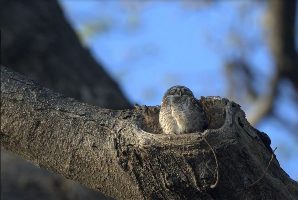 ದರ್ಶನ್ ತೆಗೆದ ಈ ದಿನದ ಚಿತ್ರ.