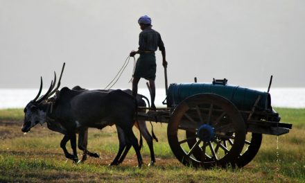 ಅಶ್ವಥ ಕೆ.ಎನ್ ತೆಗೆದ ಈ ದಿನದ ಚಿತ್ರ