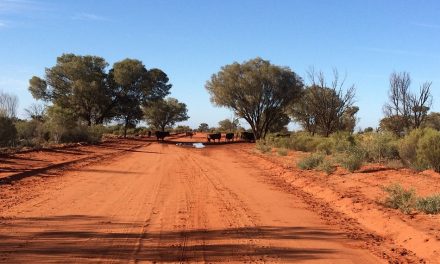 ಔಟ್ ಬ್ಯಾಕ್ ಎಂಬ ಆಸ್ಟ್ರೇಲಿಯಾದ ಅನೂಹ್ಯ ನಿಗೂಡ