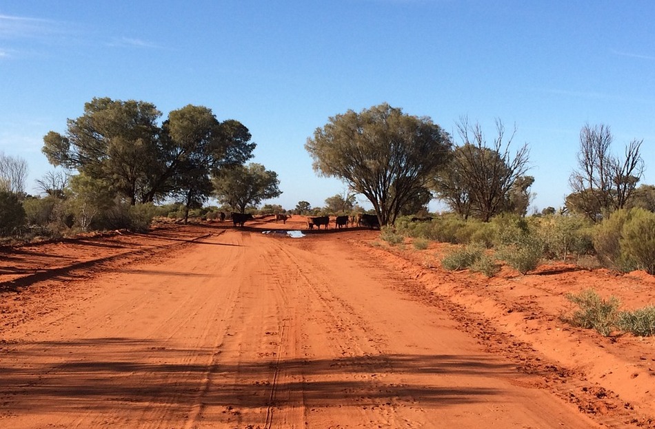 ಔಟ್ ಬ್ಯಾಕ್ ಎಂಬ ಆಸ್ಟ್ರೇಲಿಯಾದ ಅನೂಹ್ಯ ನಿಗೂಡ