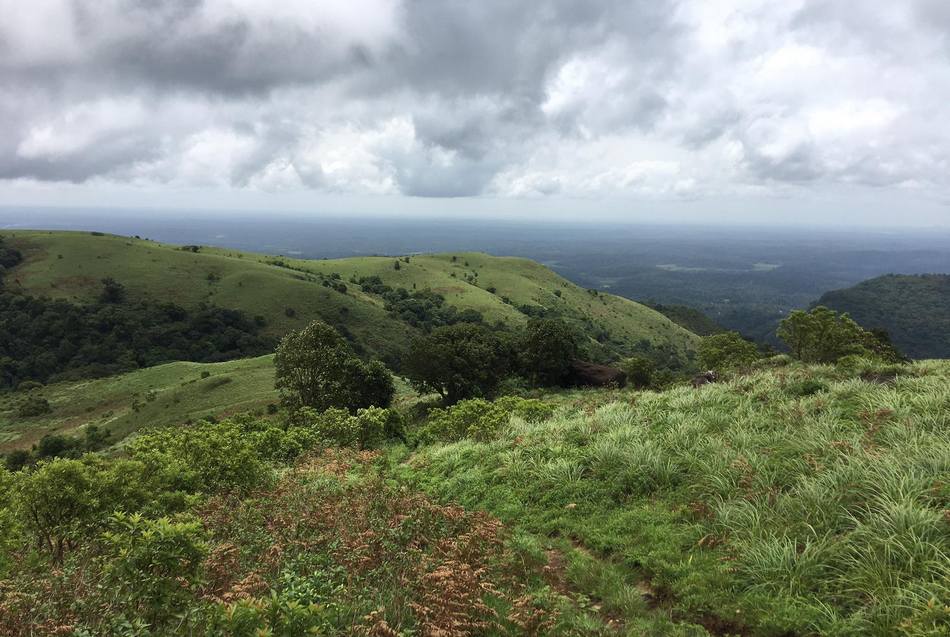 ಅಭಿಷೇಕ್ ಉತ್ತಪ್ಪ ತೆಗೆದ ಈ ದಿನದ ಚಿತ್ರ