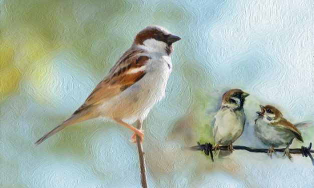 ’ಕಾಳಿಯ ಬಗಲಲ್ಲಿ’:ನಾಗರೇಖಾ ಗಾಂವಕರ  ಬರೆದ ಸಣ್ಣ ಕಥೆ