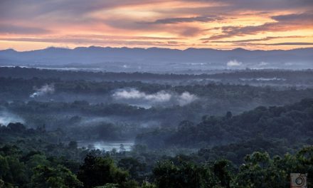 ಪ್ರವಾಸವೆಂಬ ‘ದರ್ಶನ’:ಸುಜಾತಾ ತಿರುಗಾಟ ಕಥನ