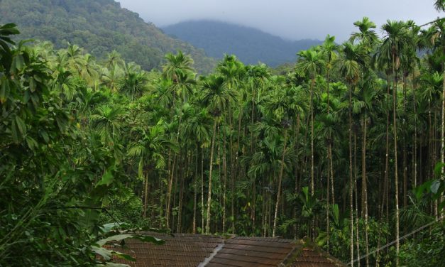 ದೊಡ್ಡ ಬೆಟ್ಟದ ಕೆಳಗಿರುವ ಹಳೆಮನೆಯಲ್ಲಿ ಒಂದಿರುಳು…