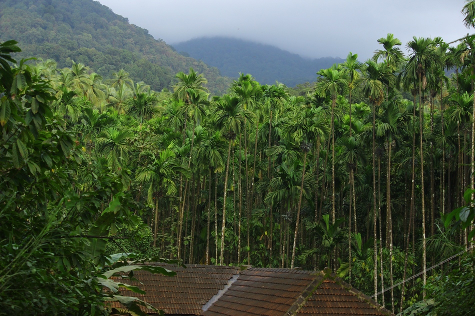 ದೊಡ್ಡ ಬೆಟ್ಟದ ಕೆಳಗಿರುವ ಹಳೆಮನೆಯಲ್ಲಿ ಒಂದಿರುಳು…