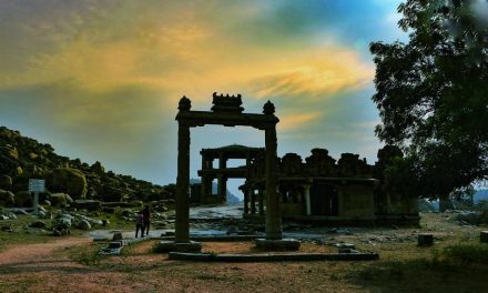 ಪ್ರಶಾಂತ್ ತೆಗೆದ ಈ ದಿನದ ಚಿತ್ರ