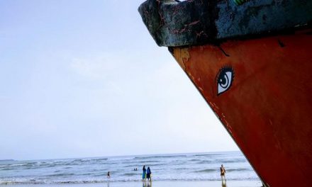 ರೇಣುಕಾ ನಾಯಕ್ ತೆಗೆದ ಈ ದಿನದ ಚಿತ್ರ.