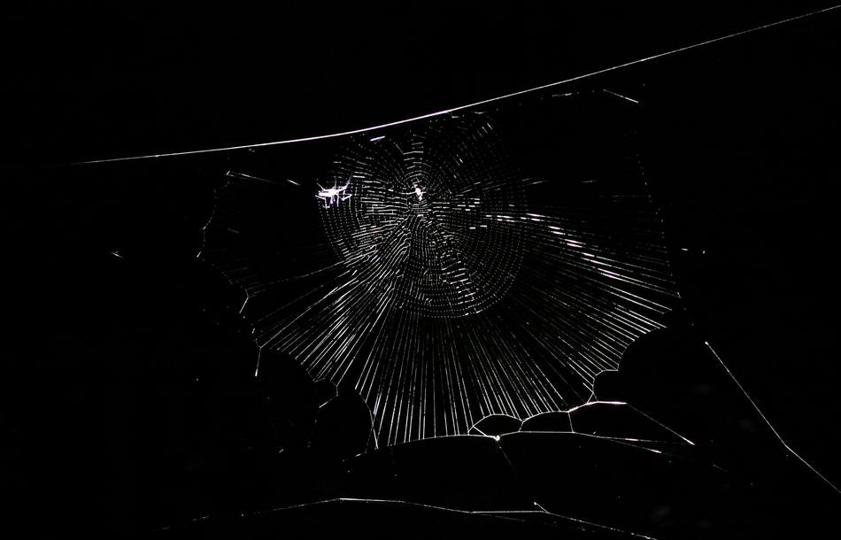 ಡಾ. ಅಭಿಜಿತ್ ತೆಗೆದ ಜೇಡರ ಬಲೆಯ ಚಿತ್ರ.