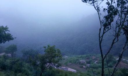 ಕಾಡು ನೋಡ ಹೋಗಿ ಮೊಲವ ಕಂಡು ಬಂದೆ:ಮುನವ್ವರ್ ಪರಿಸರ ಕಥನ