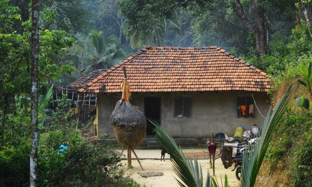 ಕಾಡ ಮಾಡಿನಲ್ಲಿ ನೆಲೆಸಿದ ಕುಟುಂಬದ ಕಥೆ: ಪ್ರಸಾದ್ ಶೆಣೈ ಕಥಾನಕ