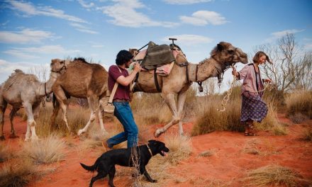 “ಒಂಟಿ” ಅಲೆಮಾರಿ ರಾಬಿನ್ ಡೇವಿಡ್ಸನ್: ವಿನತೆ ಶರ್ಮಾ ಅಂಕಣ