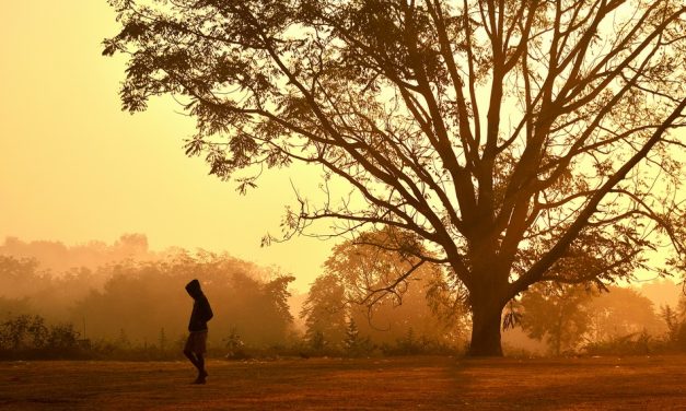 ಕಮಿಷನ್ ಕನಕನ ನಿಧಿ ಶೋಧದ ಕಥೆ