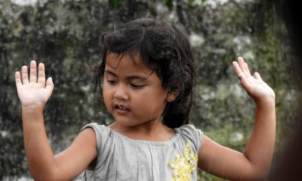 ಪ್ರಸನ್ನ ಆಡುವಳ್ಳಿ ತೆಗೆದ ಮಿಜೋರಾಂ ಮುಗುದೆಯ ಚಿತ್ರ