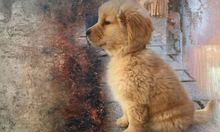 ಮೂಕ ಪ್ರೀತಿಗೆ ಕರಗುವ ಮನವು: ಇ.ಆರ್.ರಾಮಚಂದ್ರನ್ ಲೇಖನ