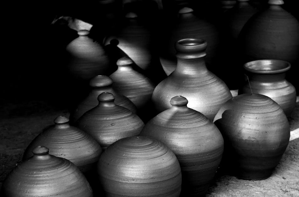 ರೇಣು ಪ್ರಿಯದರ್ಶಿನಿ ತೆಗೆದ ಈ ದಿನದ ಚಿತ್ರ