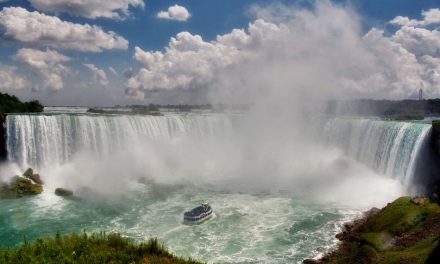 ನಯಾಗರ ಎಂಬ ಜೈವಿಕ ವೈವಿಧ್ಯ ತಾಣ: ಸುಜಾತಾ ತಿರುಗಾಟ ಕಥನ