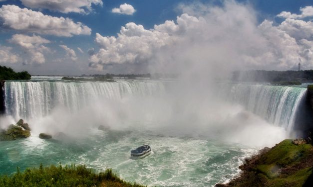 ನಯಾಗರ ಎಂಬ ಜೈವಿಕ ವೈವಿಧ್ಯ ತಾಣ: ಸುಜಾತಾ ತಿರುಗಾಟ ಕಥನ