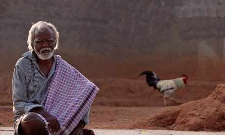 ಸೋಮಶೇಖರ ಸಿರಾ ತೆಗೆದ ಈ ದಿನದ ಚಿತ್ರ.