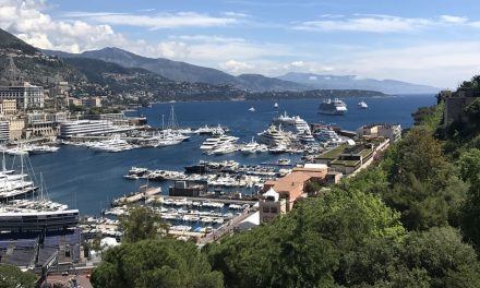 ಕಾನ್ಸಿನ ಕಲ್ಲು ದಾರಿಗುಂಟ ತೆರೆದುಕೊಂಡ ನಮ್ಮ ತವರು ಪ್ರೀತಿ: ಸುಜಾತಾ ತಿರುಗಾಟ ಕಥನ.