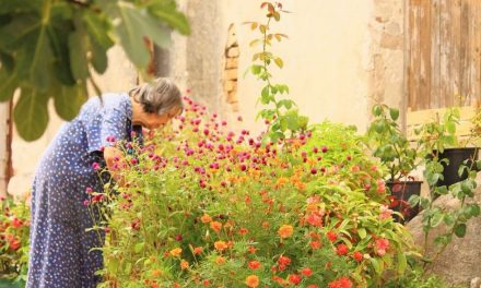 ವಲಸಿಗರ ಪರದೇಶಿತನದಲ್ಲೂ ಇರೋ ಆಸೆಗಳು: ಡಾ. ವಿನತೆ ಶರ್ಮಾ ಅಂಕಣ.