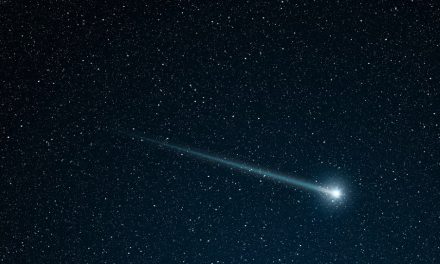 ಗದ್ದೆಗೆ ಬಿದ್ದದ್ದು ಧೂಮಕೇತುವೆ?: ಮುನವ್ವರ್ ಜೋಗಿಬೆಟ್ಟು  ಪರಿಸರ ಕಥನ