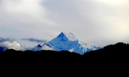 ಪ್ರಸನ್ನ ಆಡುವಳ್ಳಿ ತೆಗೆದ ಈ ದಿನದ ಚಿತ್ರ