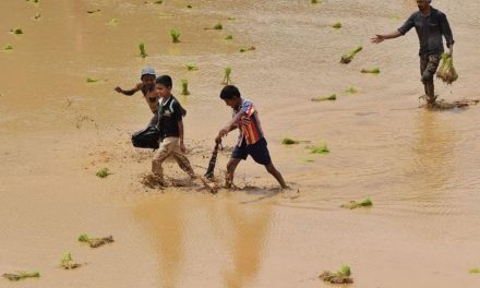 ಶಿವಪ್ರಸಾದ್ ಹಳುವಳ್ಳಿ ತೆಗೆದ ಈ ದಿನದ ಚಿತ್ರ.
