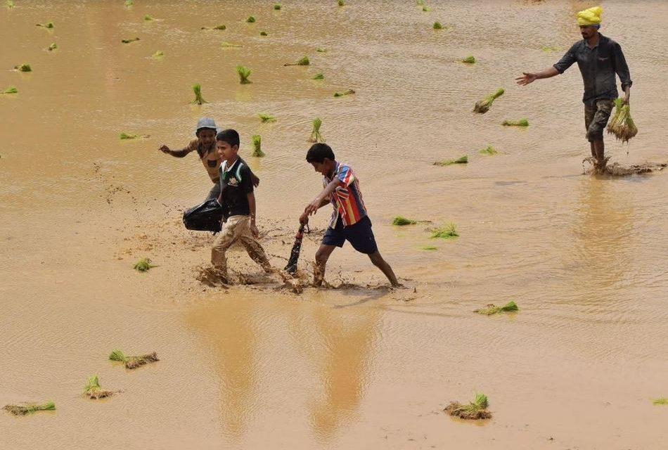 ಶಿವಪ್ರಸಾದ್ ಹಳುವಳ್ಳಿ ತೆಗೆದ ಈ ದಿನದ ಚಿತ್ರ.