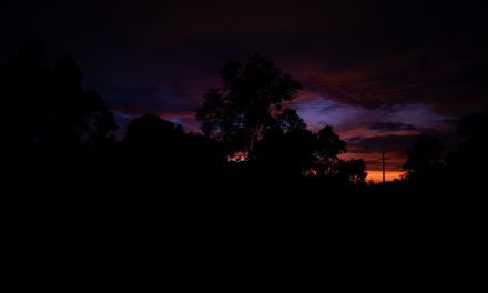 ಮಾಳದ ಎರಡು ಕನಸುಗಳು,ಮಾಳದ ಎರಡು ಸಂಜೆಗಳು:ಪ್ರಸಾದ್ ಶೆಣೈ ಕಥಾನಕ