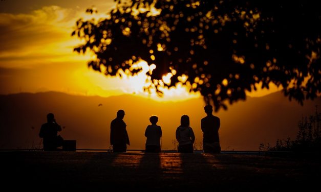 ತನ್ನ ನೂಲ ತಾನೇ ಸುತ್ತಿ…. : ಆಶಾ ಜಗದೀಶ್ ಅಂಕಣ