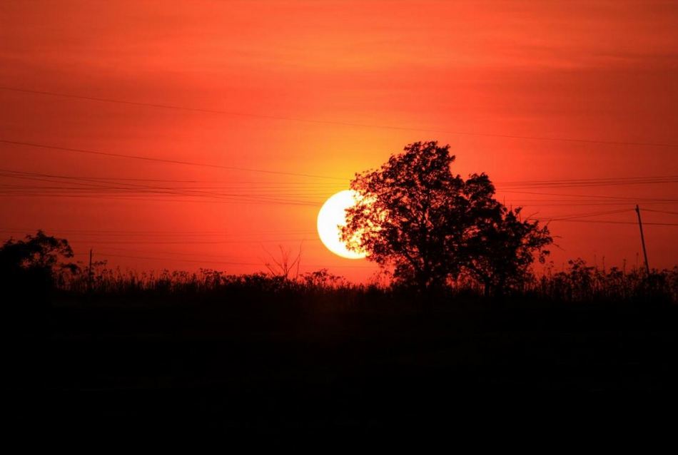 ಶ್ರೀಧರ ಟಿ.ಕೆ. ತೆಗೆದ ಈ ದಿನದ ಚಿತ್ರ