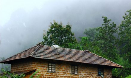 ಪದ್ದಜ್ಜಿಯ ಕಣ್ಣಲಿ ಕಂಡ ನೆನಪುಗಳ ಜಲಪಾತ: ಪ್ರಸಾದ್ ಶೆಣೈ ಅಂಕಣ