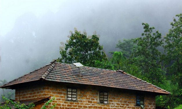 ಪದ್ದಜ್ಜಿಯ ಕಣ್ಣಲಿ ಕಂಡ ನೆನಪುಗಳ ಜಲಪಾತ: ಪ್ರಸಾದ್ ಶೆಣೈ ಅಂಕಣ