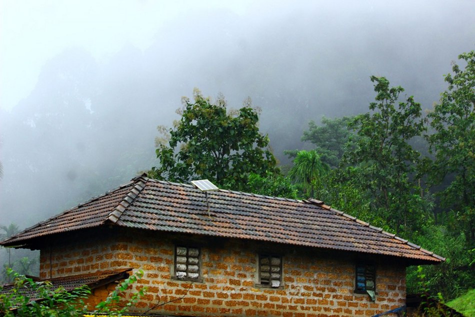 ಪದ್ದಜ್ಜಿಯ ಕಣ್ಣಲಿ ಕಂಡ ನೆನಪುಗಳ ಜಲಪಾತ: ಪ್ರಸಾದ್ ಶೆಣೈ ಅಂಕಣ