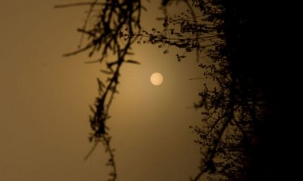 ಆದರ್ಶ ಬಿ.ಎಸ್ ತೆಗೆದ ಈ ದಿನದ ಚಿತ್ರ