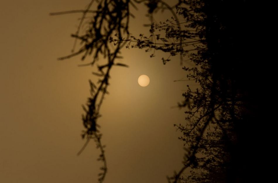 ಆದರ್ಶ ಬಿ.ಎಸ್ ತೆಗೆದ ಈ ದಿನದ ಚಿತ್ರ