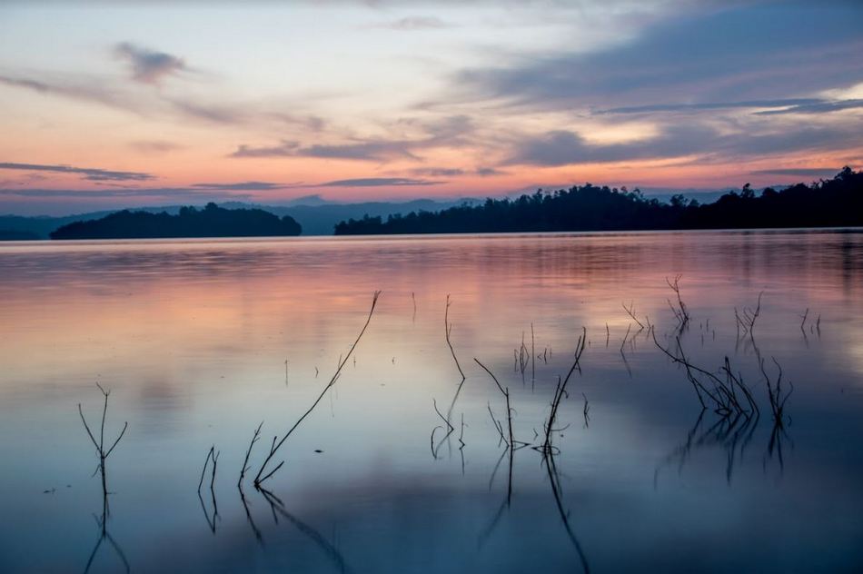 ಆದರ್ಶ ಬಿ.ಎಸ್ ತೆಗೆದ ಈ ದಿನದ ಚಿತ್ರ
