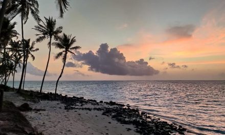 ಅಬ್ದುಲ್ ರಶೀದ್ ತೆಗೆದ ಈ ದಿನದ ಚಿತ್ರ