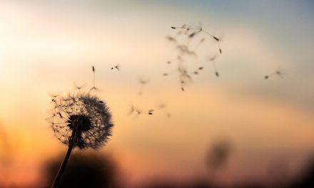 ತೊರೆದು ಜೀವಿಸಬಹುದೇ ನಿಮ್ಮ ಚರಣಗಳ: ಕೃಷ್ಣ ದೇವಾಂಗಮಠ ಅಂಕಣ