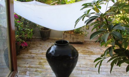 ಮುಗಿಲಿನಿಂದುದುರುವ ಝಣ ಝಣ ಕಾಂಚಾಣ: ಮಧುಸೂದನ್ ವೈ.ಎನ್ ಅಂಕಣ