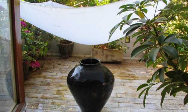 ಮುಗಿಲಿನಿಂದುದುರುವ ಝಣ ಝಣ ಕಾಂಚಾಣ: ಮಧುಸೂದನ್ ವೈ.ಎನ್ ಅಂಕಣ