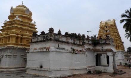 ಮೂಗೂರಿನ ದೇಶೇಶ್ವರ: ಟಿ.ಎಸ್. ಗೋಪಾಲ್ ಬರೆಯುವ ದೇಗುಲಗಳ ಸರಣಿ