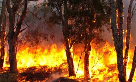 ಮುರಳಿ ಹತ್ವಾರ್ ಬರೆದ ಈ ದಿನದ ಕವಿತೆ