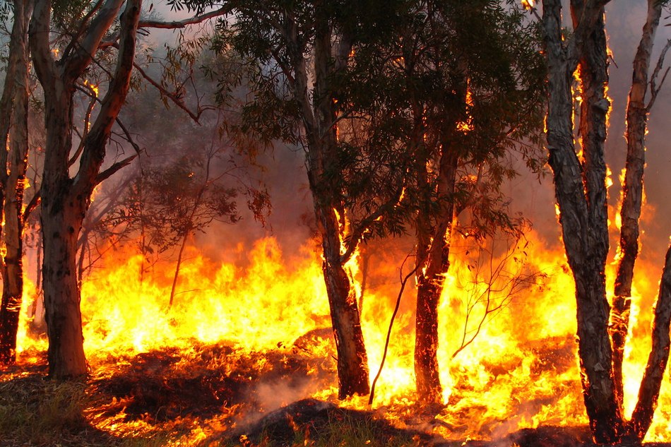 ಮುರಳಿ ಹತ್ವಾರ್ ಬರೆದ ಈ ದಿನದ ಕವಿತೆ