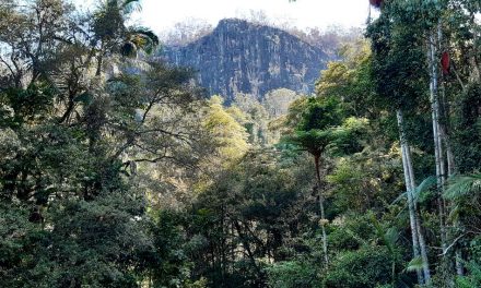ಇದು ಎಂಥ ಲೋಕವಮ್ಮ…! : ವಿನತೆ ಶರ್ಮ ಅಂಕಣ