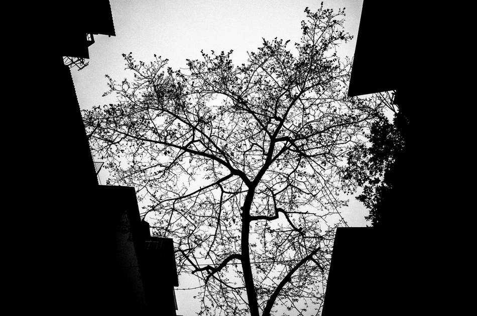 ನಾ ದಿವಾಕರ್ ಬರೆದ ಈ ದಿನದ ಕವಿತೆ